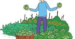 Firma firma adalah usaha ekonomi bersama yang didirikan oleh sekurangnya dua sekutu. Jawaban Tugas Jenis Usaha Ekonomi Yang Dikelola Sendiri Pembelajaran Tematik Kelas 5 Tema 8 Riyanpedia