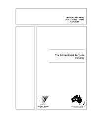 the correctional services industry studylib