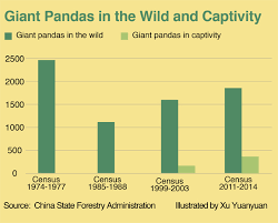 Panda Population By Year Related Keywords Suggestions