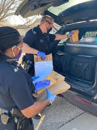 The WPD Domestic Intervention...