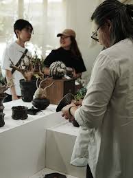 Image result for Thesium fanshawei