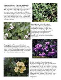 Most soils have a percentage of all three components, but the ratio of each is what determines your soil type. Plants For Gardening In Wet And Wooded Areas Connecticut