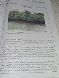 3 terhitung sejak 1980 an dunia telah kehilangan hutan mangrove sebesar 3 6 juta hektar atau sekitar 20. Judul Cerita Hutan Bakau Pertanyaan 1 Apakah Teks Tersebut Disusun Sistematis 2 Cantumkan Sumber Brainly Co Id