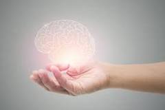Image result for regenerador cerebral beneficios