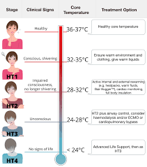 Another possible cause is stopping breathing, such as when a person drowns or has severe pneumonia. Hypothermia Reversible Causes Of Cardiac Arrest Ausmed