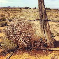 Pin By Francie Mortenson On Feels Like Home To Me Land Of Enchantment Mccree Fallout New Vegas