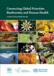 Victoria beardwood sales associate at crestwood liquors Connecting Global Priorities Biodiversity And Human Health