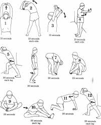 Stretching To Grow Taller Workout Warm Up Mma Workout Flexibility Workout
