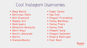 According to the entertainment software rating board, 67% of us households play video games, and more than half of video gamers are males. Usernames 900 Perfect Instagram Names To Get Followers