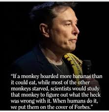 Adrienne Amundsen, Author