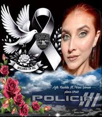 Juan Pellot's Instagram, Twitter & Facebook