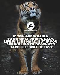 Attitude Mindset Determination Strength Wisdom Leader Winner Champion Growth Persistence Entrepreneur Boss Tiger Quotes Strong Quotes Words Quotes