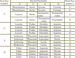 Codon And Amino Acid Comparison Table Download Table