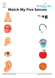 five senses for kids activities worksheet preschool kindergarten