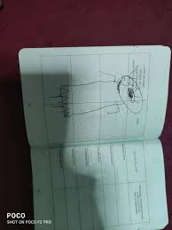 Don't forget to add your resume to this letter. Seafarer Airs Disappointment After Child Turns His Seaman S Book Into Drawing Book