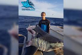 Giant shark megalodon is the largest shark ever to have lived, weighing 50 tonnes and measuring 18 feet long. What The Hell Bit The Head Off This Enormous Shark