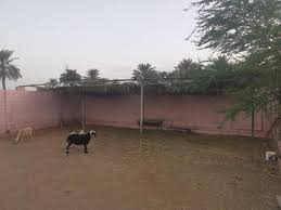AL SABAH FARM مزرعة الصباح AS SUWAYQ (عُمان) - بدءاً من 52 US$ | ALBOOKED