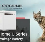 GoodWe battery LV Lynx Home U