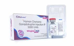 Image result for Chorionic Gonadotropin Injectable Solution
