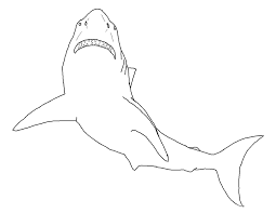 Shark Sheets For Kids Shark Coloring Pages Fish Coloring Page Butterfly Coloring Page