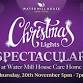 Christmas Lights Spectacular at Water Mill House event image