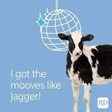 Please share on social media! 50 Cow Jokes That Are Udderly Hilarious Reader S Digest