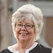 Janice D. Meudt Obituary