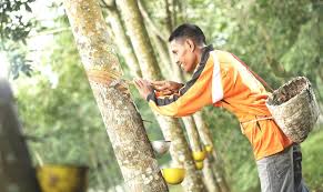 We did not find results for: Pras Academy Smp Sifat Bahan Karet Dan Pemanfaatannya Dalam Kehidupan