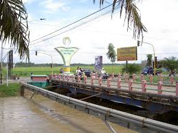 Hasil gambar untuk persawahan belitang