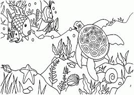 Some of the worksheets for this concept are ecosystem coloring, ask a biologist, ocean habitat coloring, ecosystem coloring for kids, ecosystem coloring for kids ebook, ecosystem coloring for kids ebook, ecosystem coloring for kids epub, population community ecosystem work name. Ecosystem Coloring Pages For Kids And For Adults Coloring Home