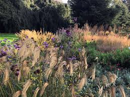 Quant aux fleurs, il est temps de cueillir celles qui peuvent être séchées. Jardin D Automne Atmosphere Melancolique Atelier Naudier