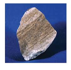 The most common types include coal, lignite, oil shale, or black shale. Sedimentary Rocks Earth Science
