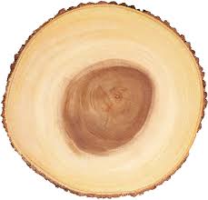Kitchencraft Artesa Rustique En Bois Tronc D Arbre Planche A Fromage Plateau A Servir Avec Ecorce Edge 35 Cm 35 6 Tronc D Arbre Arbre En Bois Cuisines Maison