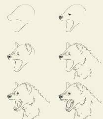 How To Draw Hyena Head Jpg 700 804 Hyena Drawings Drawing Tutorial Face