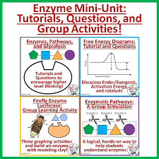 Many enzymes are regulated by the substrate itself. Enzymes Mini Unit Worksheets Graphing Activities And Paper Substrate Lab Biology Lessons Teaching Biology Biology Classroom