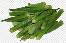 Okra resembles fingers and because it's pretty slim and in delicate shape , it is called originally answered: Okra Png Images Pngegg