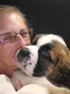 Group transport may be available, subject to existing clients and routing. Pet Ground Transport Pettraveltransport Com