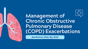 Image result for COPD Exacerbation Prevention