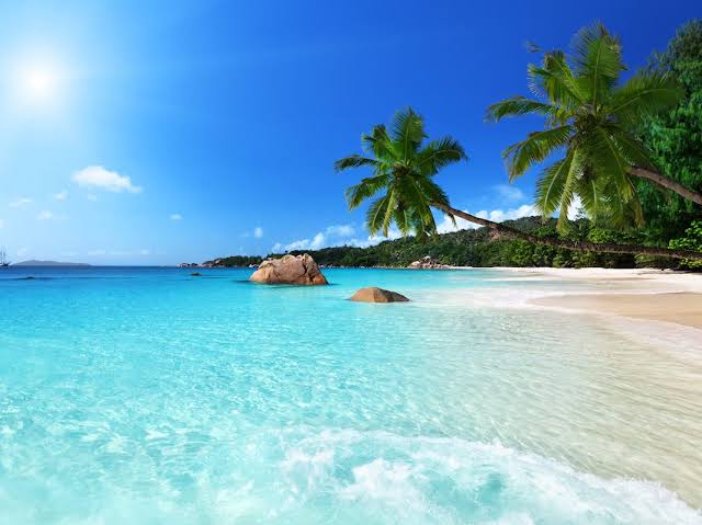 18 Best Beaches in the World in 2018, According to Travel Experts -  Business Insider