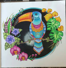 Watch me colour a page from johanna basford's magical jungle colouring book with copic markers. Toucan Magical Jungle From Johanna Basford Jungle Coloring Pages Magical Jungle Johanna Basford Johanna Basford Coloring