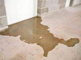 Many molds are not airborne, although their toxins might be, which makes air testing for mold spores not always useful. How To Tell If There S Mold In Your House