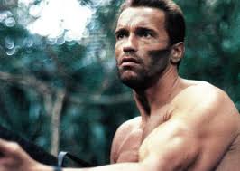 Best Arnold Schwarzenegger Movies & Performances Ranked