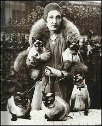 fuckyeahmodernflapper cat posters siamese cats crazy cats