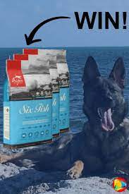 Rugged Rocksy Is Giving Away 3 X 25lb Orijen Six Fish Dog Food To Be Won Don T Miss Out Draw Is On 10 May 20 Orijen Dog Food Dog Food Recipes Food Giveaways