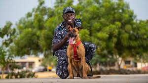 Abe lincoln animal rights quote poster | zazzle.com. Projet Chiens Detection Au Benin Ifaw