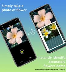 Plantsnap now teaches you how to grow and care for your plants. What Flower Identify Flower Posts Facebook