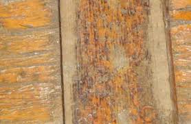 What's the difference between spar urethane and polyurethane? Apply Polyurethane To A Deck Best Deck Stain Reviews Ratings
