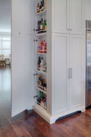 hidden spice cabinet transitional