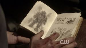 Maybe you would like to learn more about one of these? My Guess Is This Is A Mountain Man The100