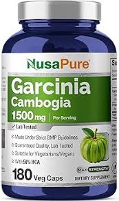 Image result for Garcinia pachyclada